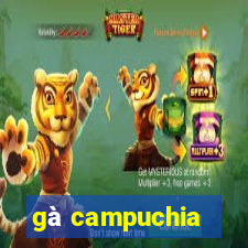 gà campuchia