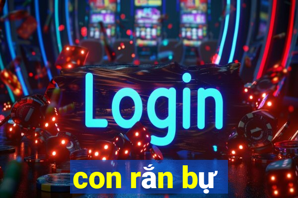 con rắn bự