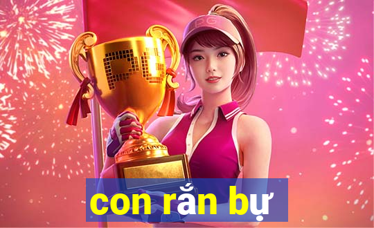 con rắn bự