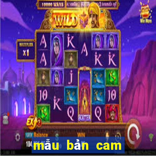 mẫu bản cam kết về phép của bộ đội