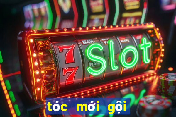 tóc mới gội đã bết