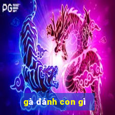 gà đánh con gì