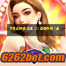 trang cá độ bóng đá