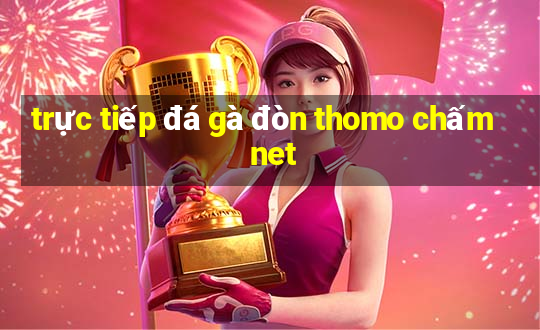 trực tiếp đá gà đòn thomo chấm net