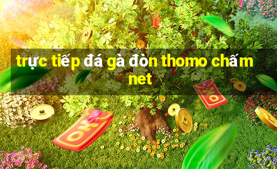 trực tiếp đá gà đòn thomo chấm net