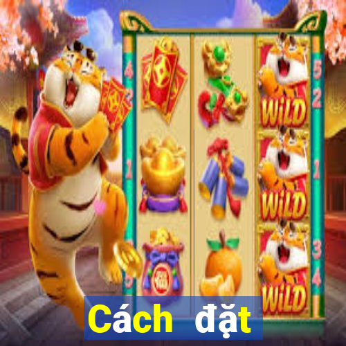 Cách đặt cược XSMT ngày 8