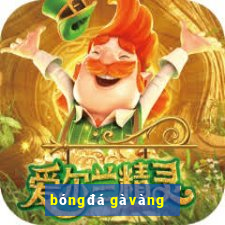 bóng đá gà vàng