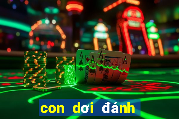 con dơi đánh số mấy