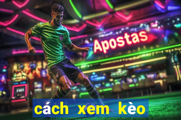 cách xem kèo bóng đá tài xỉu