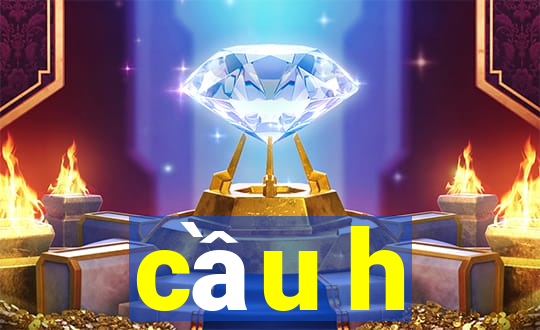 cầu h