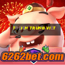 từ điển trung việt