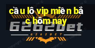 cầu lô vip miền bắc hôm nay