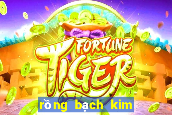 rồng bạch kim hội bạn đề