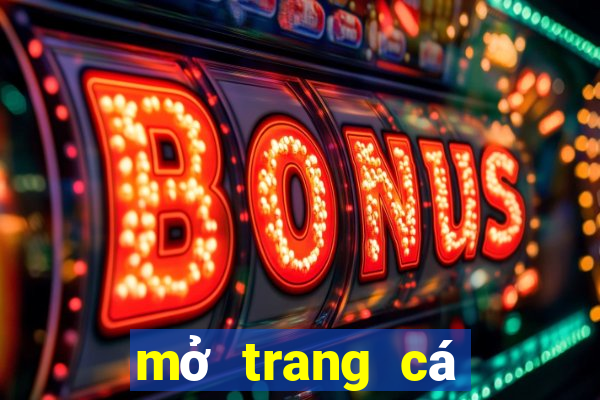 mở trang cá cược bóng đá