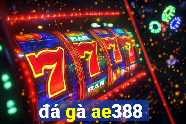 đá gà ae388