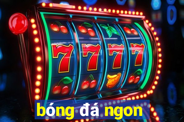 bong da ngon