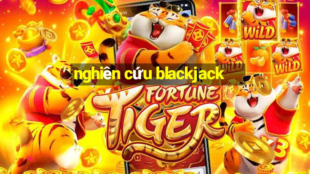 nghiên cứu blackjack