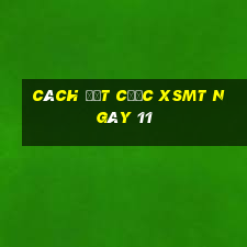 Cách đặt cược XSMT ngày 11