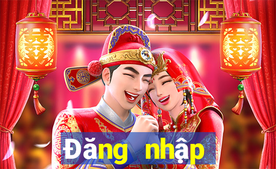 Đăng nhập người dùng Bomei