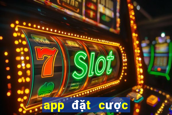 app đặt cược Sảnh Màu