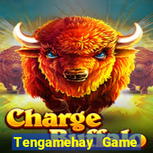 Tengamehay Game Bài Lừa Đảo