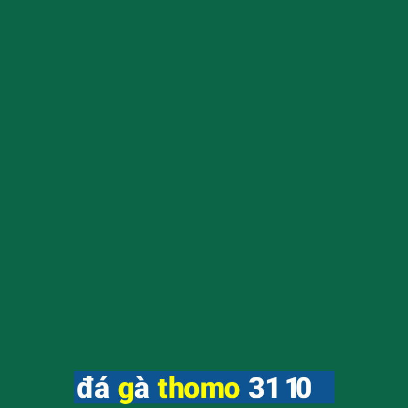 đá gà thomo 31 10