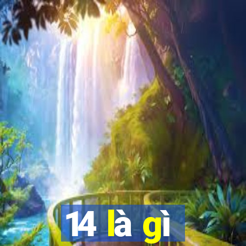 14 là gì