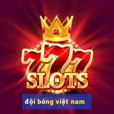 đội bóng việt nam