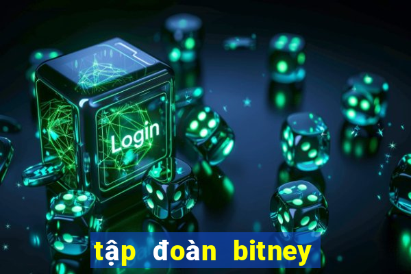 tập đoàn bitney fans club