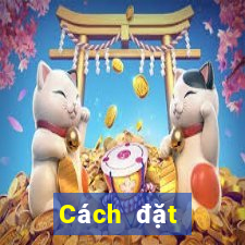 Cách đặt cược XSMN ngày 3