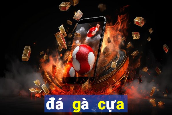 đá gà cựa sắt campuchia 2018