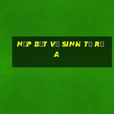 nắp bệt vệ sinh tự rửa