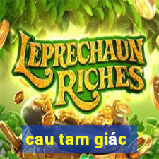 cau tam giác