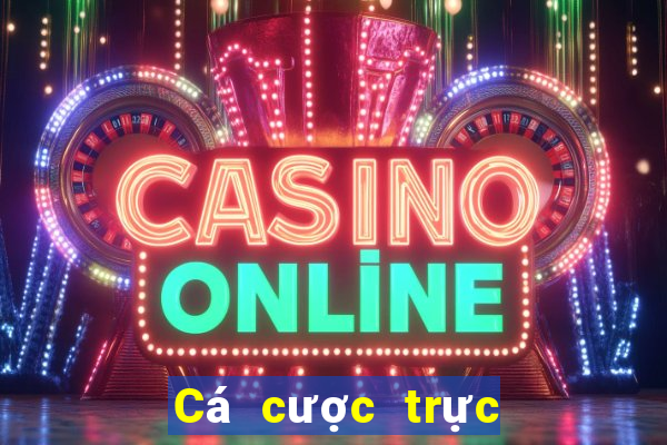 Cá cược trực tuyến oxbet