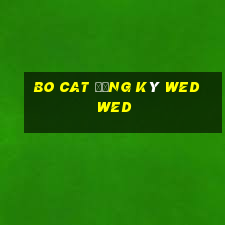 Bo Cat Đăng ký wed wed