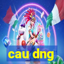 cau dng