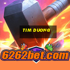 tim duong