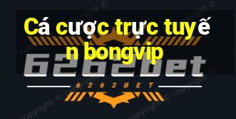 Cá cược trực tuyến bongvip