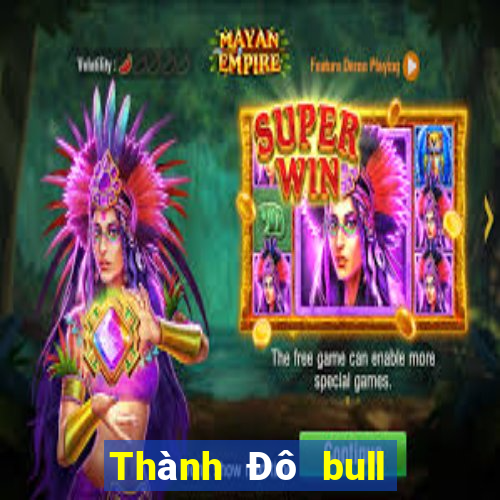 Thành Đô bull bull Description