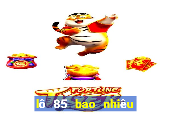 lô 85 bao nhiêu ngày chưa ra