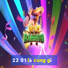 22 01 là cung gì