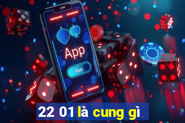 22 01 là cung gì