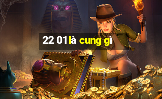 22 01 là cung gì