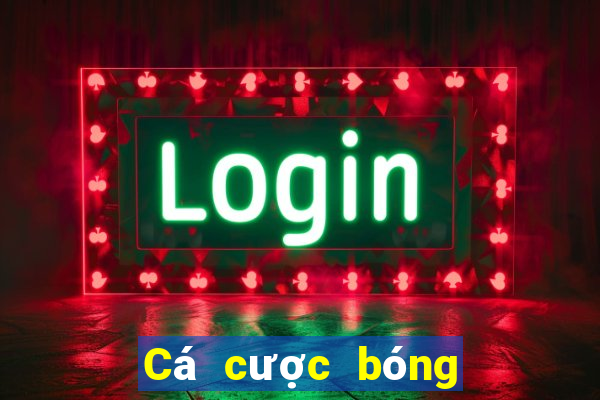 Cá cược bóng đá 500