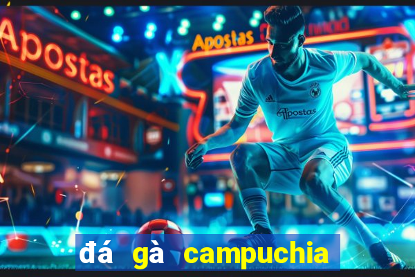 đá gà campuchia 2019 mới nhất