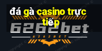 đá gà casino trực tiếp