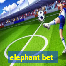 elephant bet