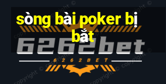 sòng bài poker bị bắt