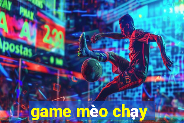 game mèo chạy