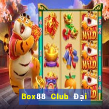 Box88 Club Đại Lý Cấp 1 Game Bài